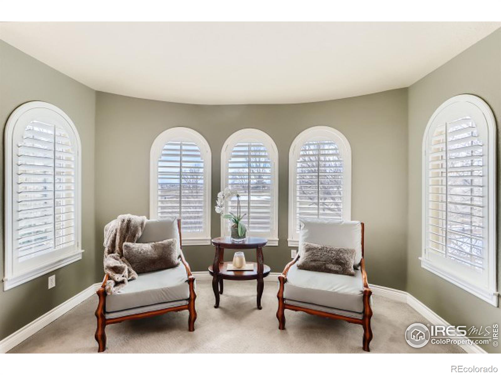 MLS Image #21 for 1669  stardance circle,longmont, Colorado