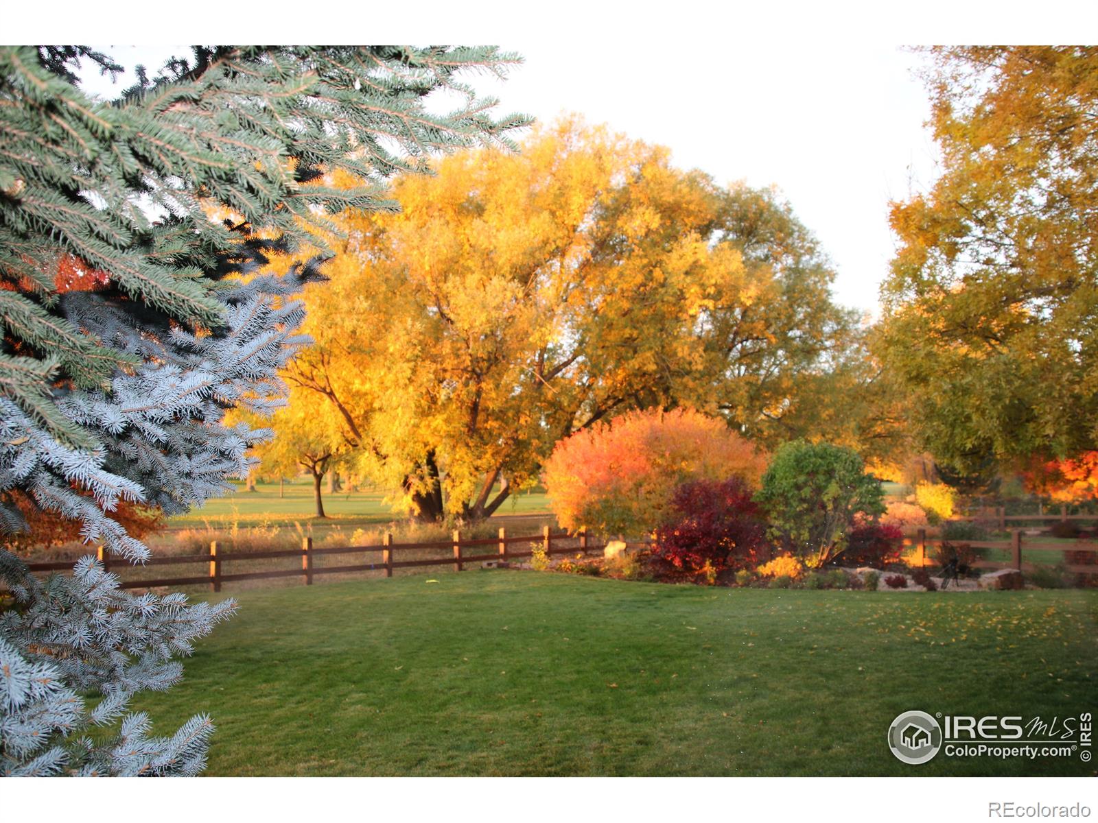 MLS Image #37 for 1669  stardance circle,longmont, Colorado