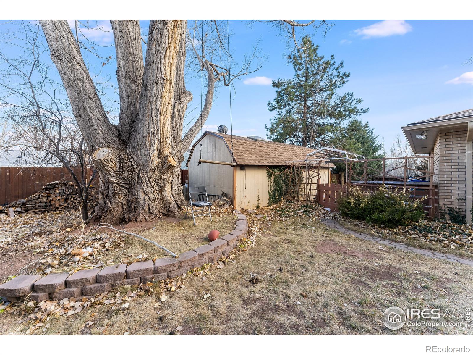 MLS Image #19 for 2000  evergreen drive,fort collins, Colorado