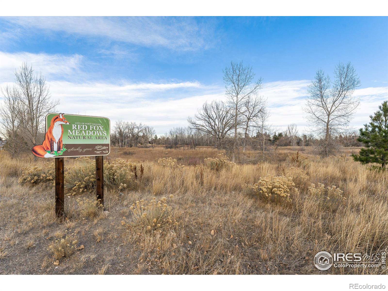 MLS Image #21 for 2000  evergreen drive,fort collins, Colorado