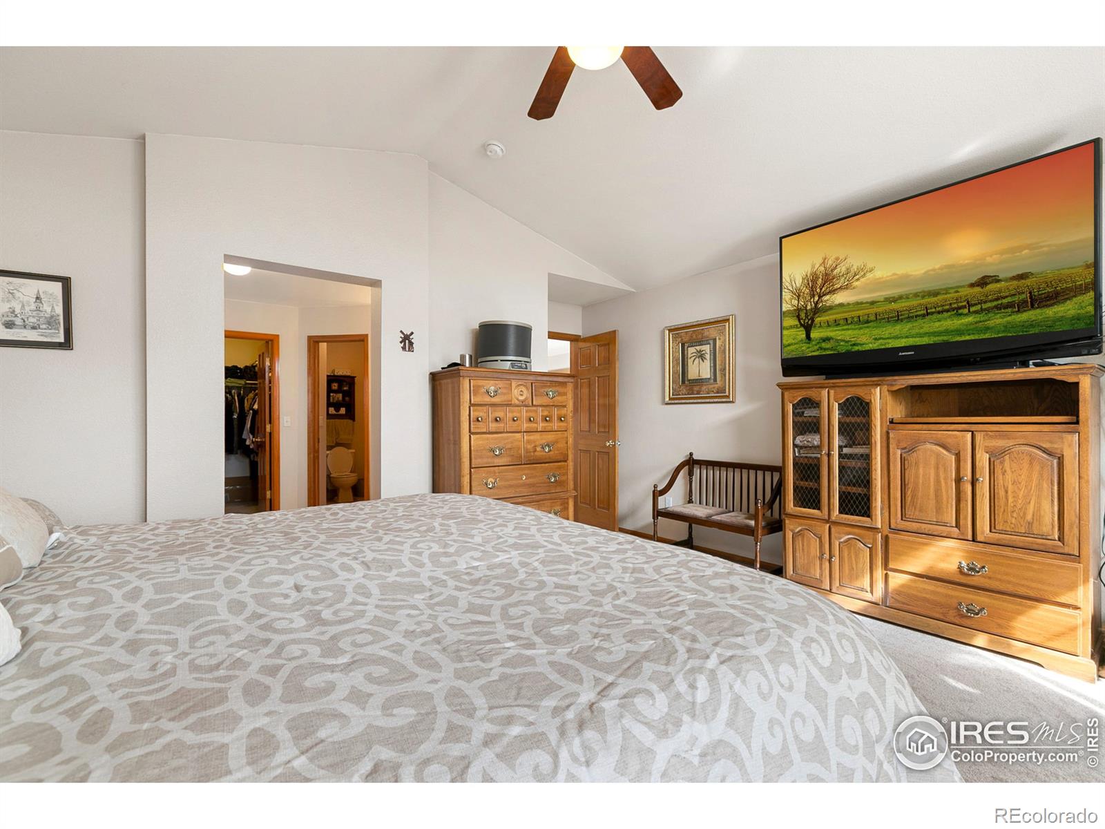 MLS Image #19 for 13313  franklin street,thornton, Colorado