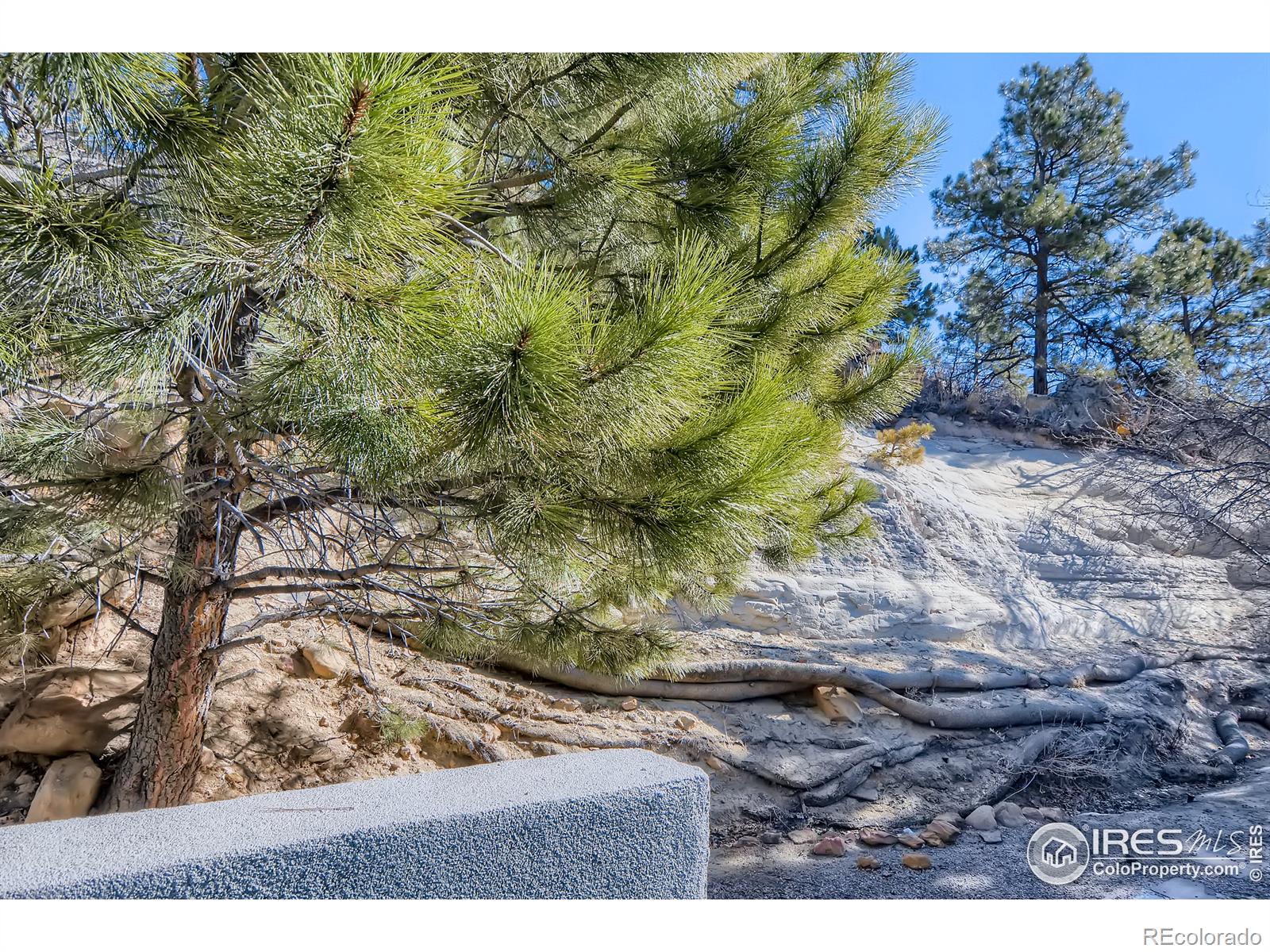 MLS Image #26 for 1429  territory trail,colorado springs, Colorado