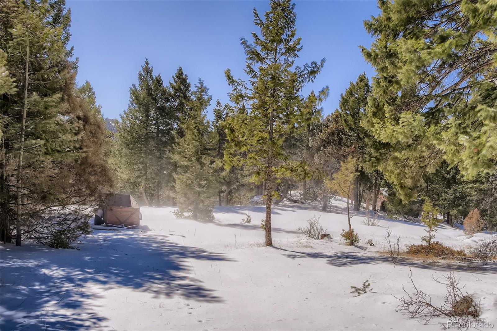 MLS Image #16 for 9059 s bertha court,morrison, Colorado