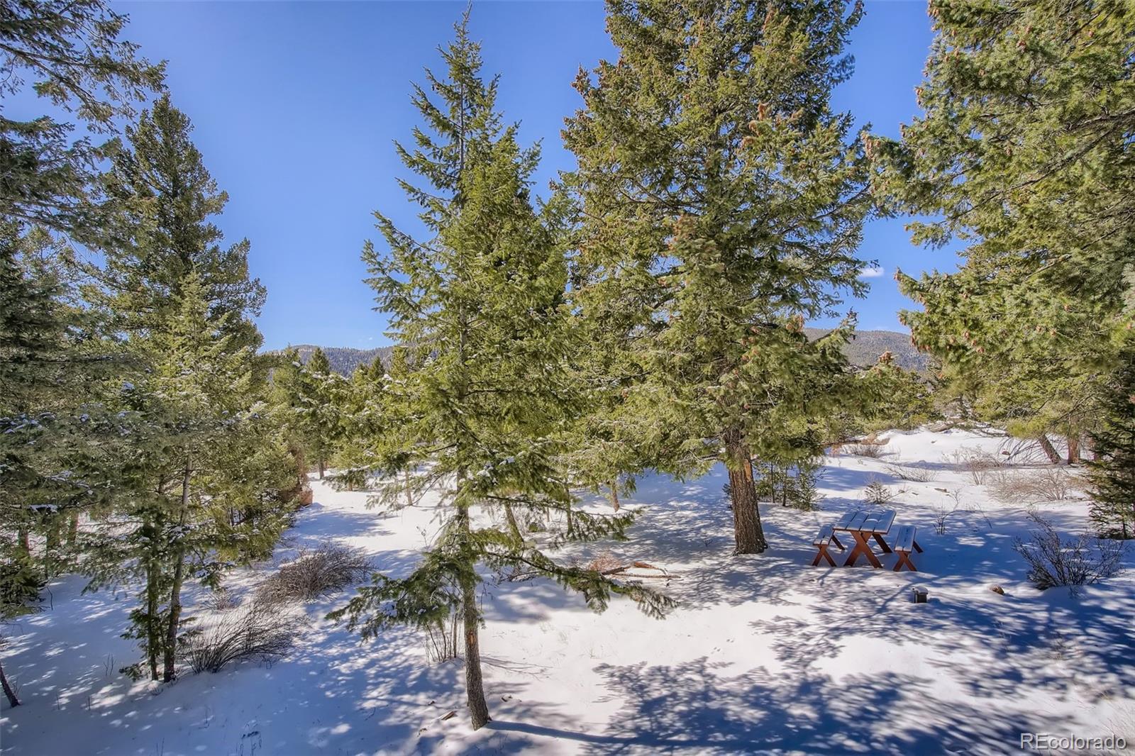 MLS Image #19 for 9059 s bertha court,morrison, Colorado