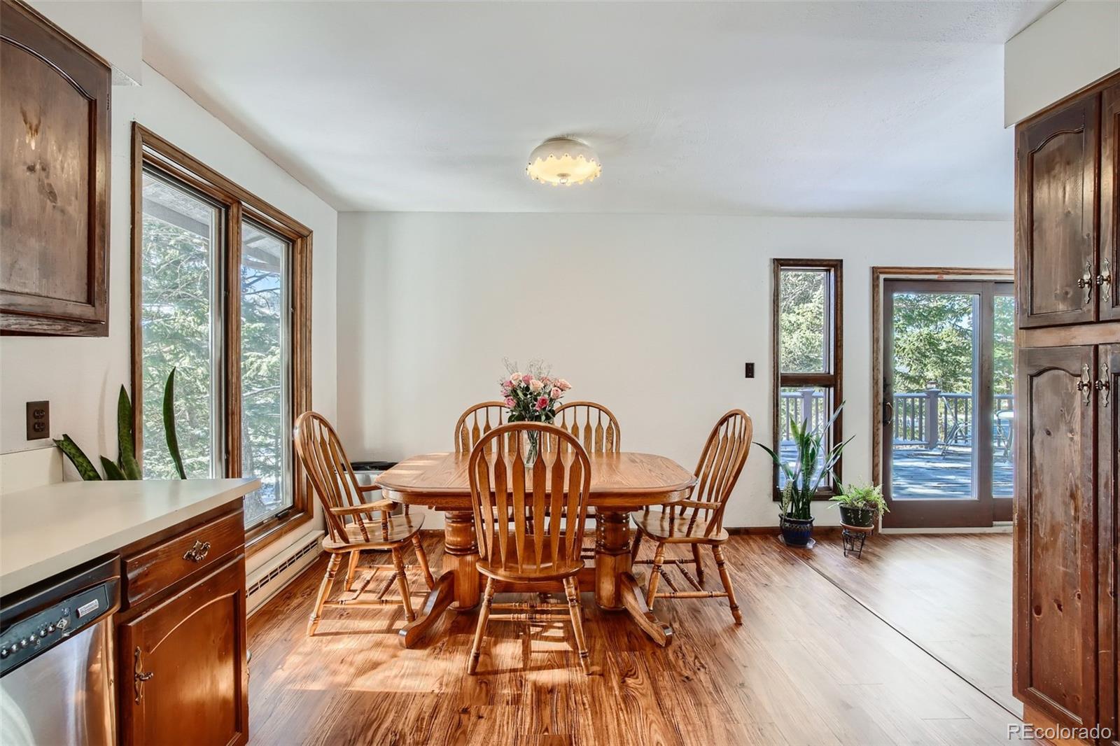 MLS Image #4 for 9059 s bertha court,morrison, Colorado