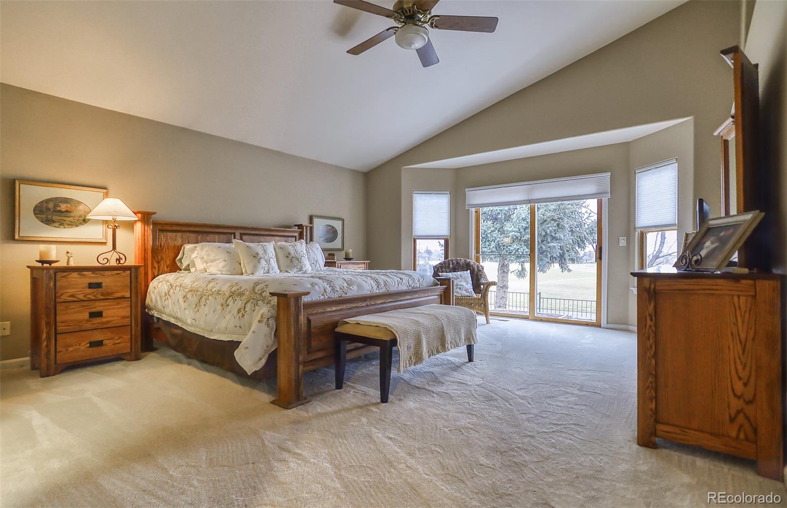 MLS Image #11 for 6696  salvia court,arvada, Colorado