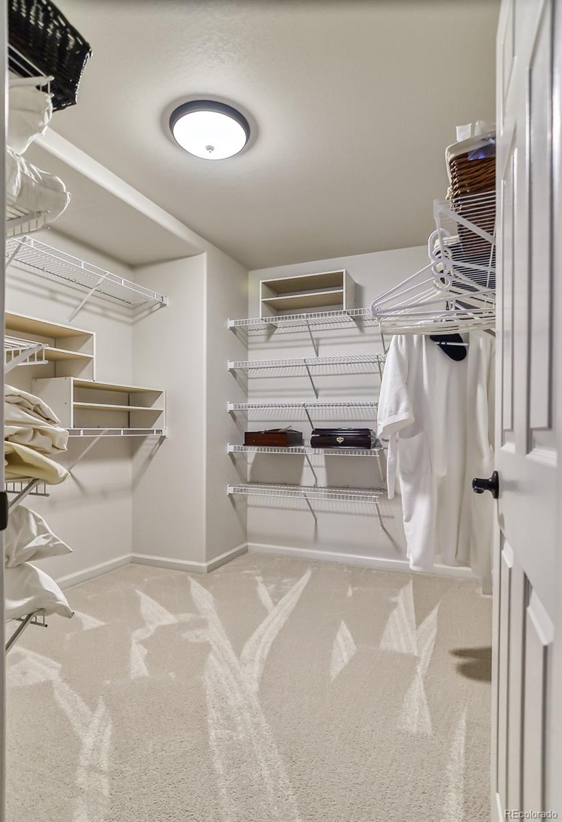 MLS Image #14 for 6696  salvia court,arvada, Colorado