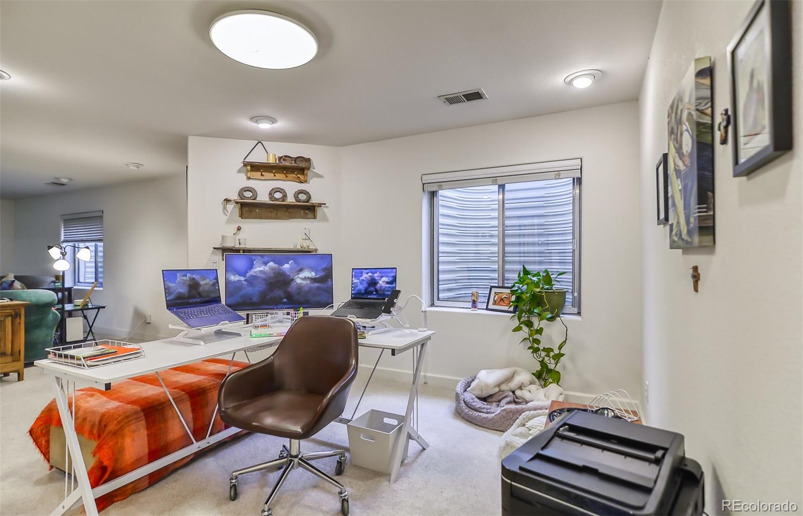 MLS Image #25 for 6696  salvia court,arvada, Colorado