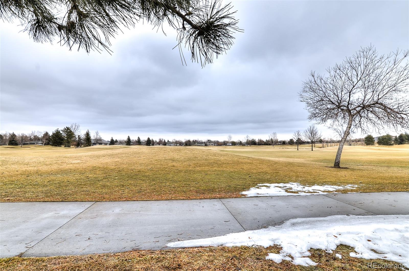 MLS Image #30 for 6696  salvia court,arvada, Colorado