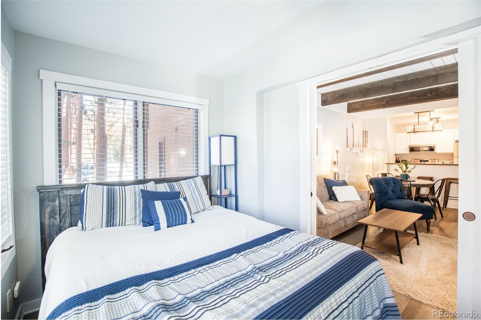 MLS Image #7 for 180  broken lance drive,breckenridge, Colorado
