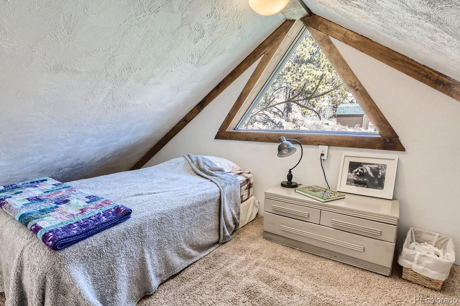 MLS Image #19 for 185  canyon drive,florissant, Colorado