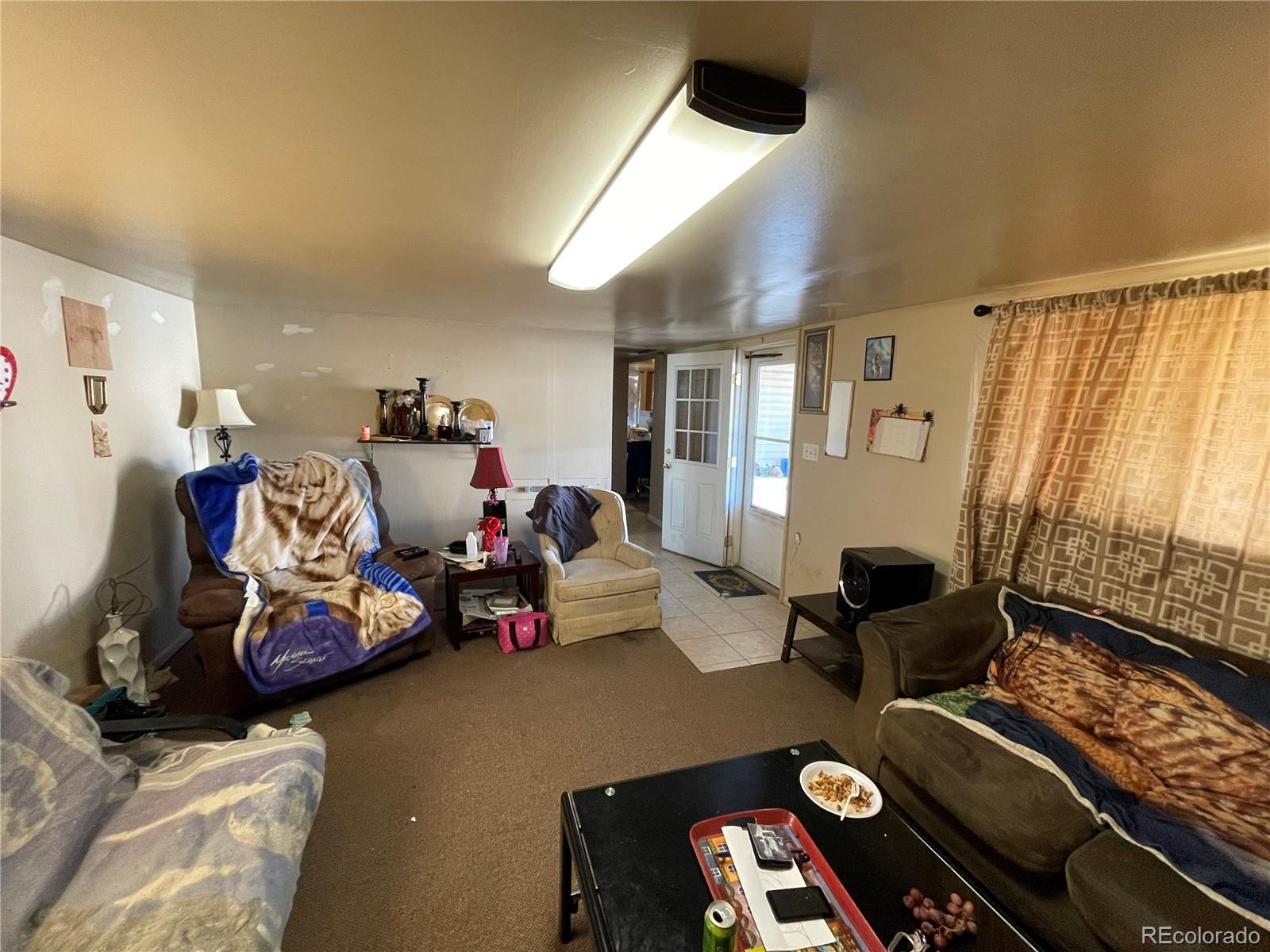 MLS Image #10 for 110 e brontosaurus boulevard,dinosaur, Colorado