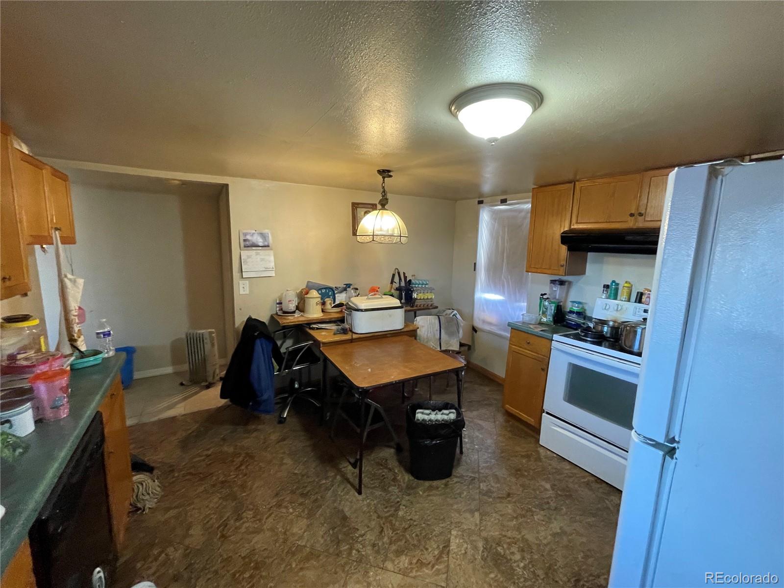 MLS Image #16 for 110 e brontosaurus boulevard,dinosaur, Colorado