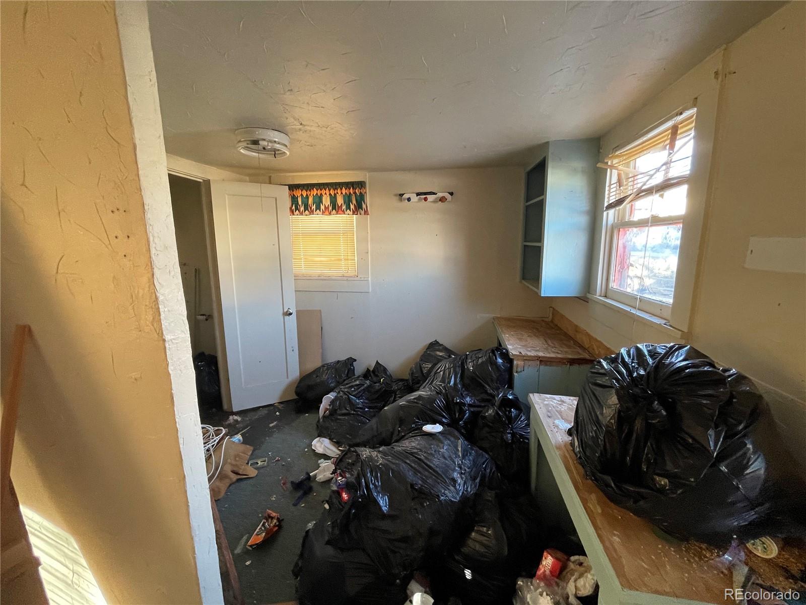 MLS Image #21 for 110 e brontosaurus boulevard,dinosaur, Colorado
