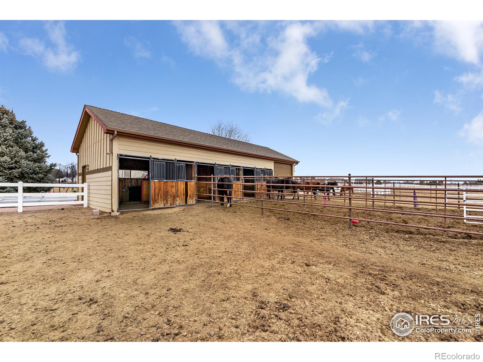 MLS Image #29 for 5208  dry creek road,evans, Colorado