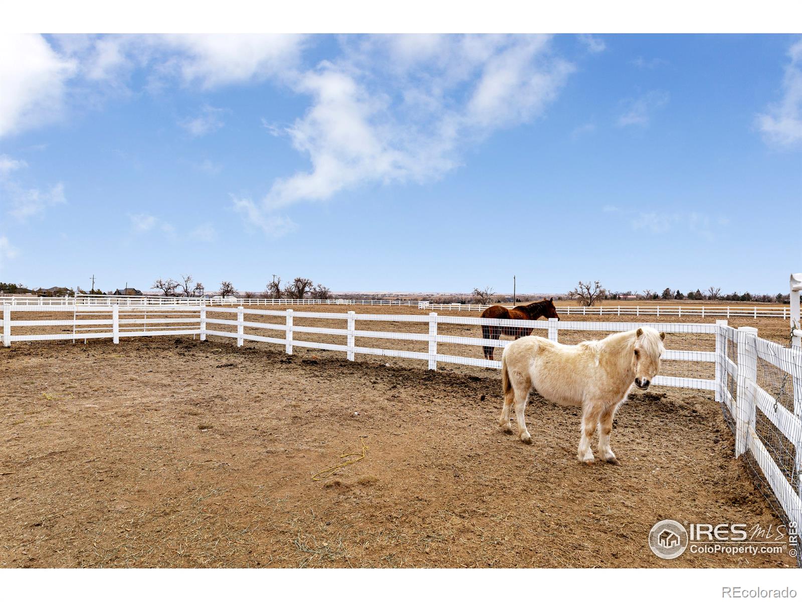 MLS Image #32 for 5208  dry creek road,evans, Colorado