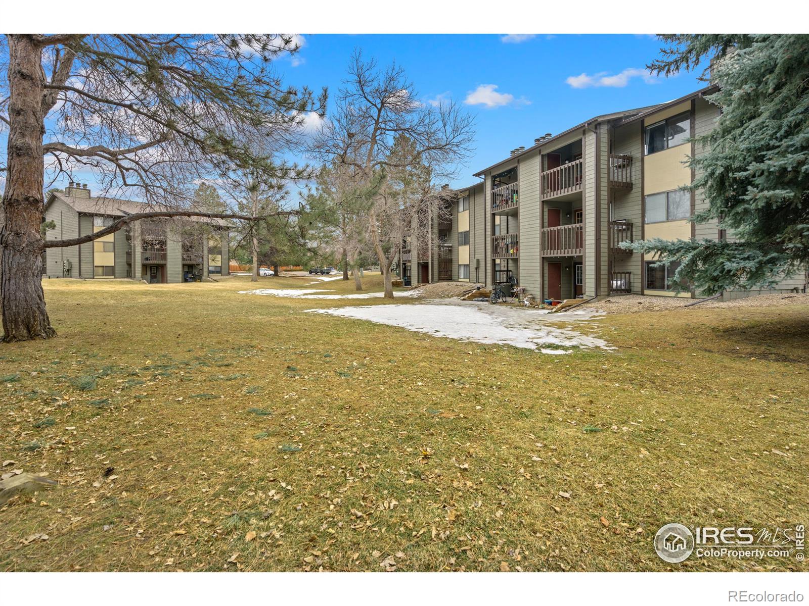 MLS Image #17 for 925  columbia road,fort collins, Colorado