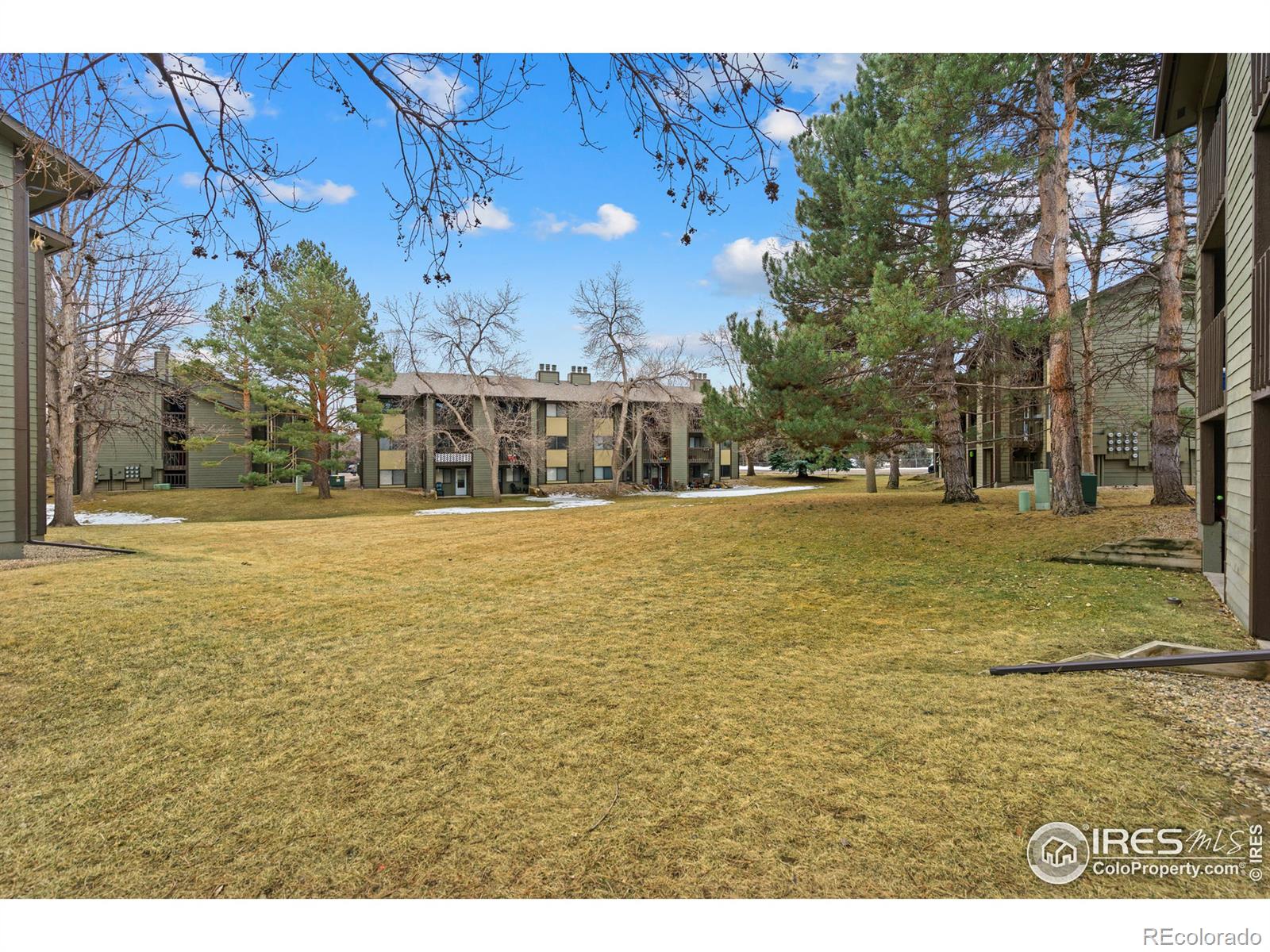 MLS Image #19 for 925  columbia road,fort collins, Colorado