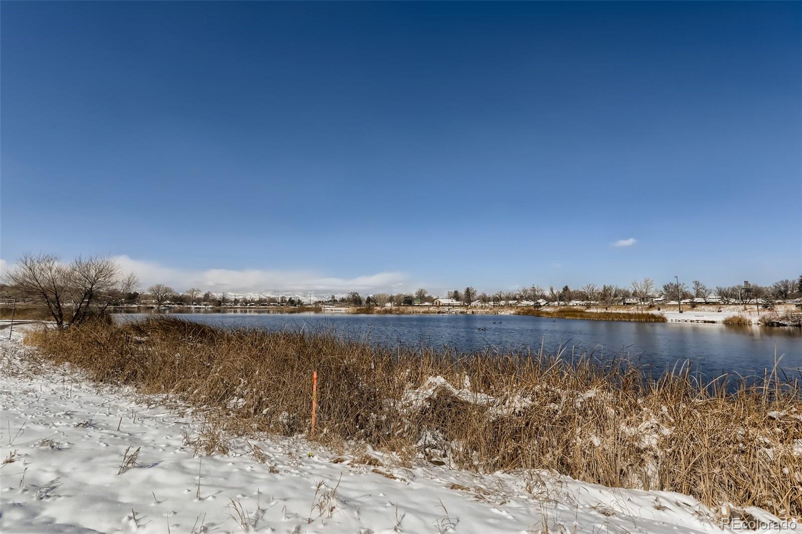 MLS Image #12 for 3047 w 47th avenue,denver, Colorado