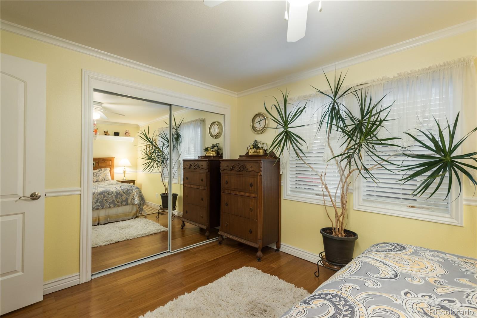 MLS Image #24 for 455  dawson drive,castle rock, Colorado
