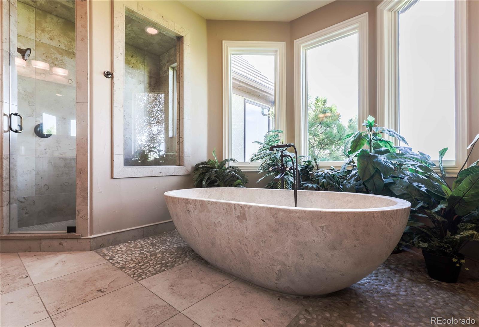 MLS Image #17 for 10757  highland view court,lone tree, Colorado