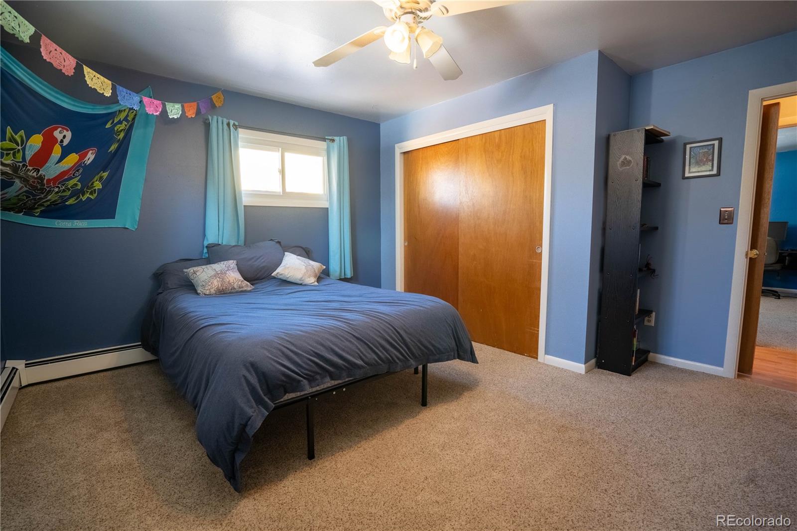 MLS Image #11 for 221  shavano avenue,salida, Colorado