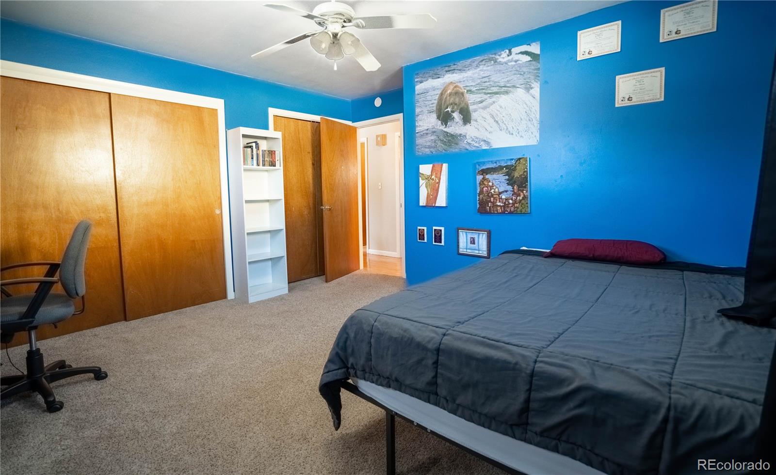MLS Image #12 for 221  shavano avenue,salida, Colorado
