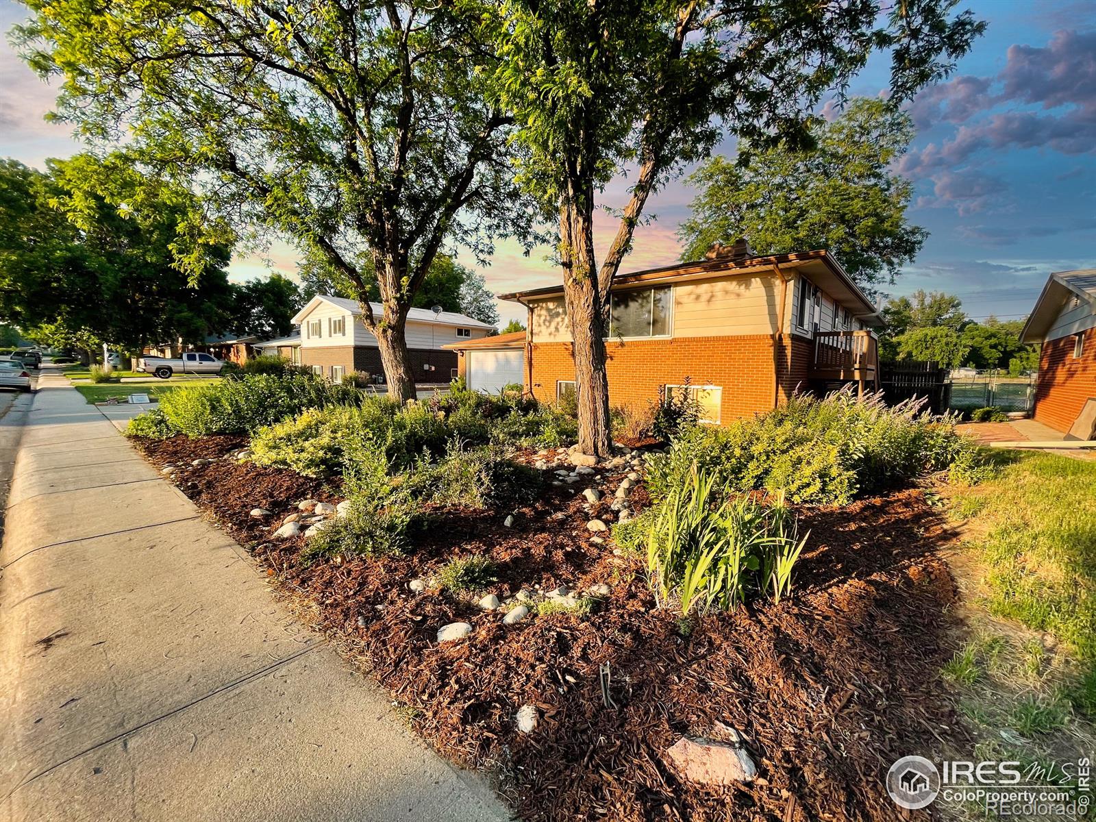 MLS Image #2 for 1206  bross street,longmont, Colorado