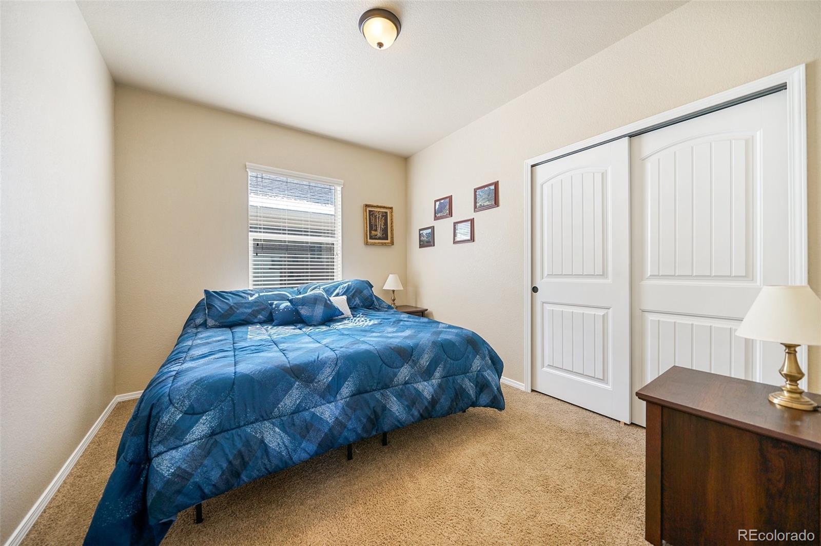 MLS Image #10 for 6636  storm rider way,colorado springs, Colorado