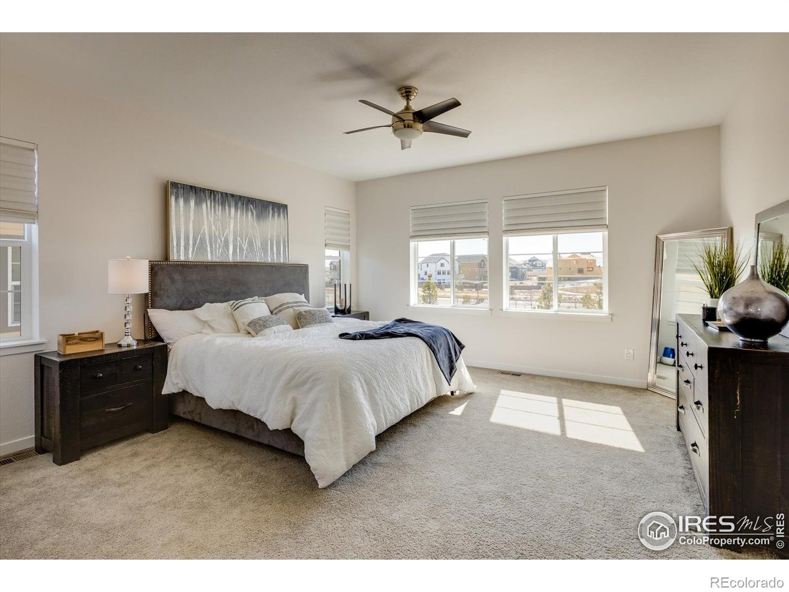 MLS Image #13 for 55  equinox circle,erie, Colorado