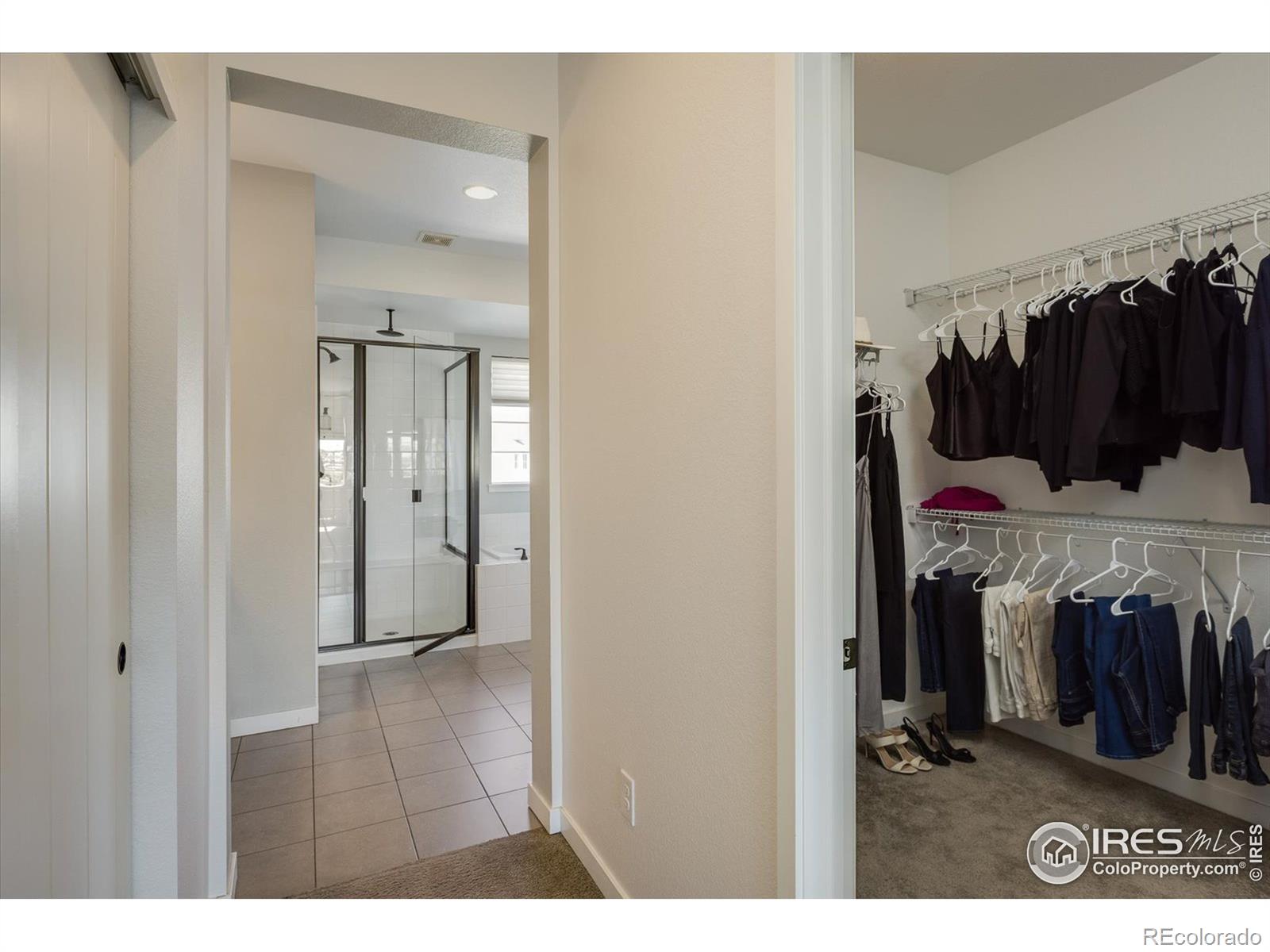 MLS Image #15 for 55  equinox circle,erie, Colorado