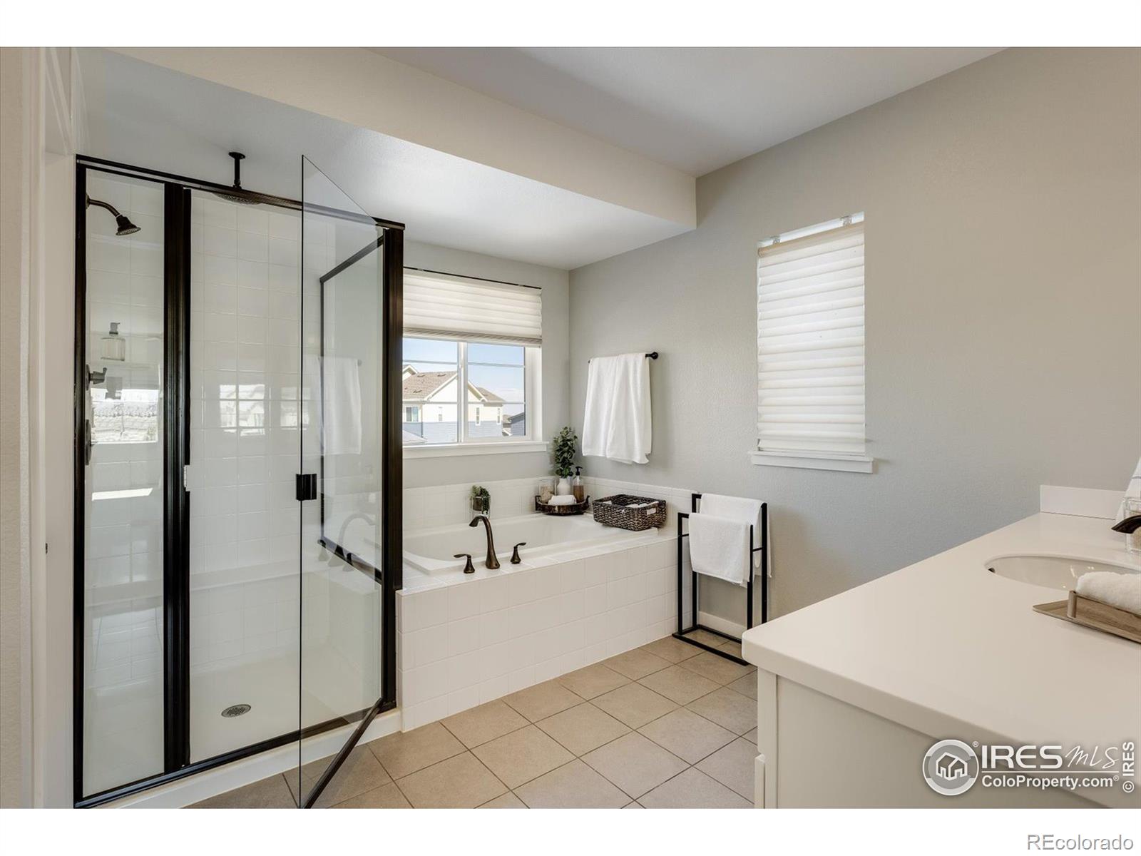 MLS Image #17 for 55  equinox circle,erie, Colorado