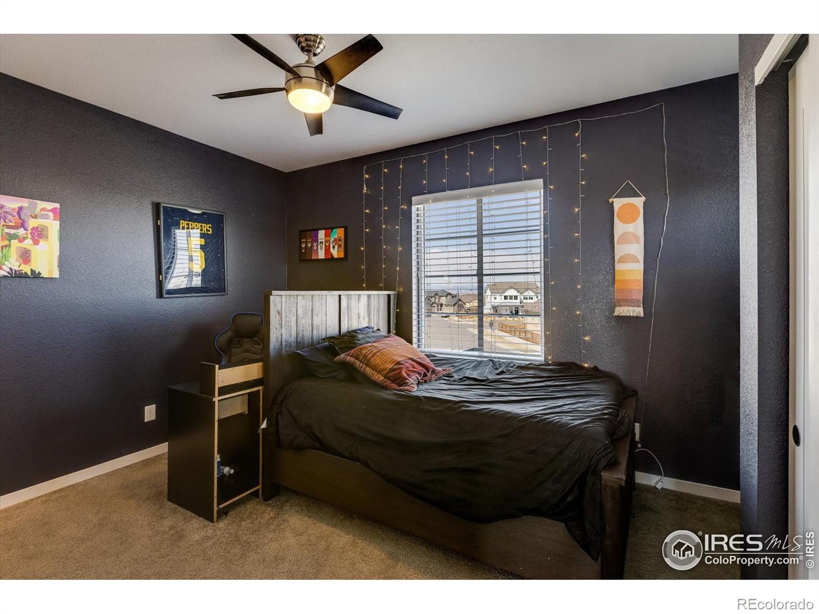 MLS Image #20 for 55  equinox circle,erie, Colorado