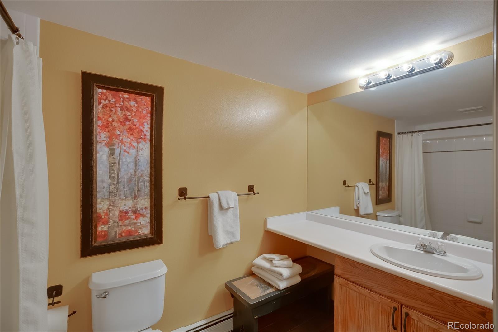 MLS Image #8 for 401  crazy horse circle,edwards, Colorado