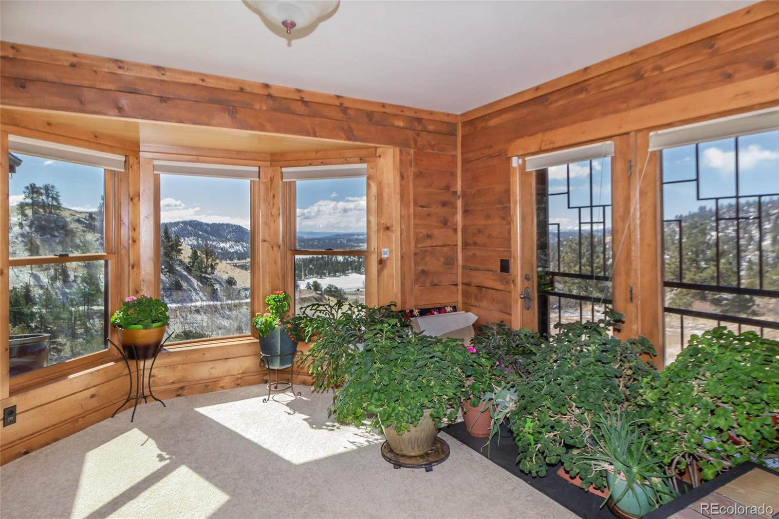 MLS Image #15 for 831  highland meadows drive,florissant, Colorado