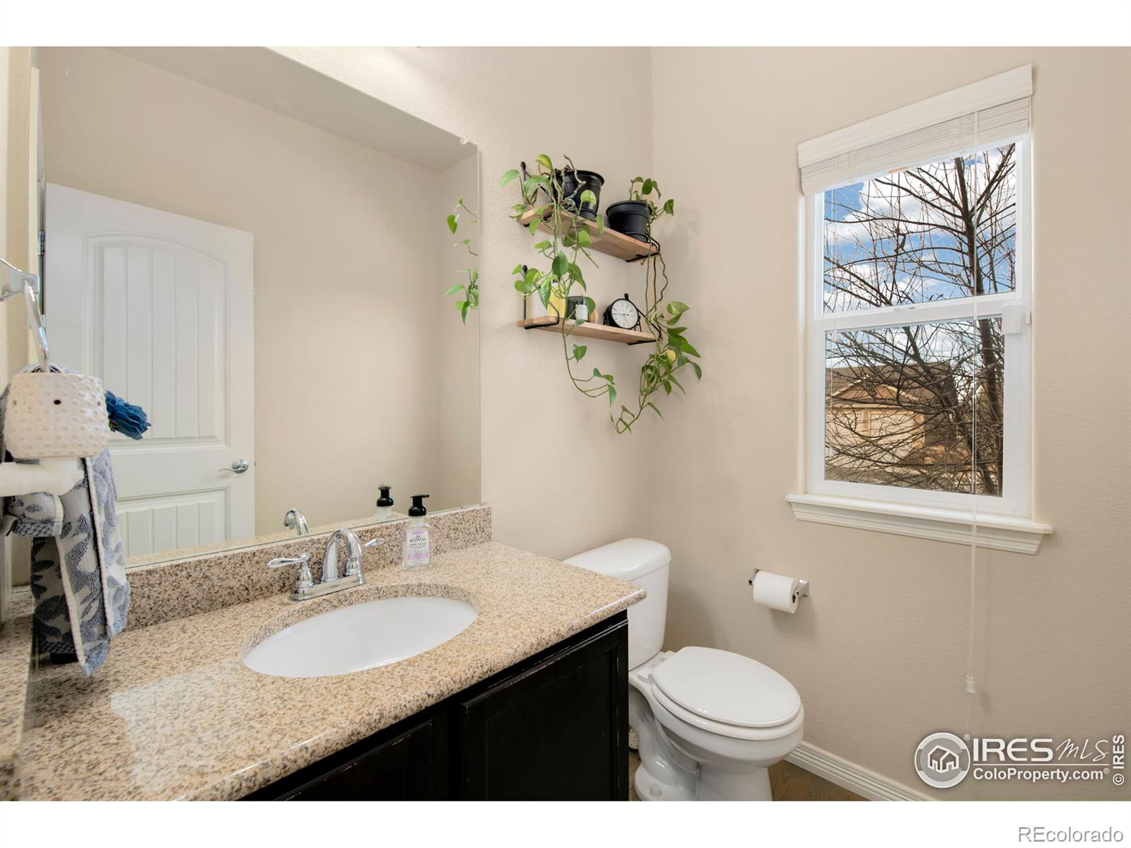 MLS Image #11 for 7415  rosecroft drive,windsor, Colorado