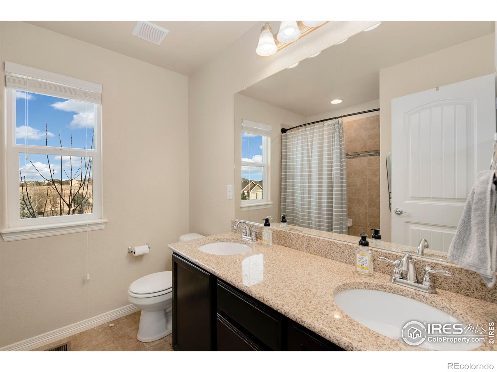MLS Image #20 for 7415  rosecroft drive,windsor, Colorado