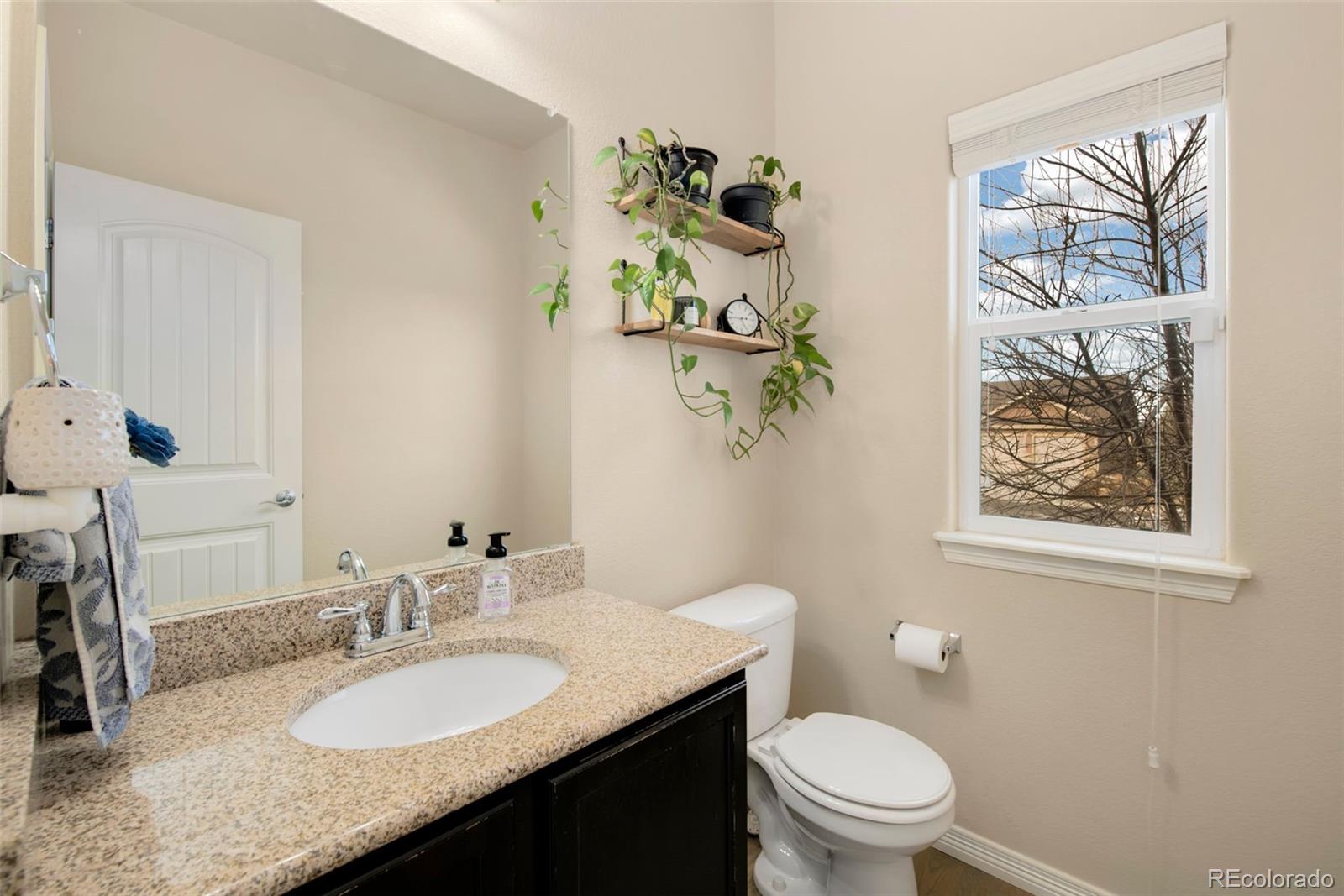 MLS Image #4 for 7415  rosecroft drive,windsor, Colorado