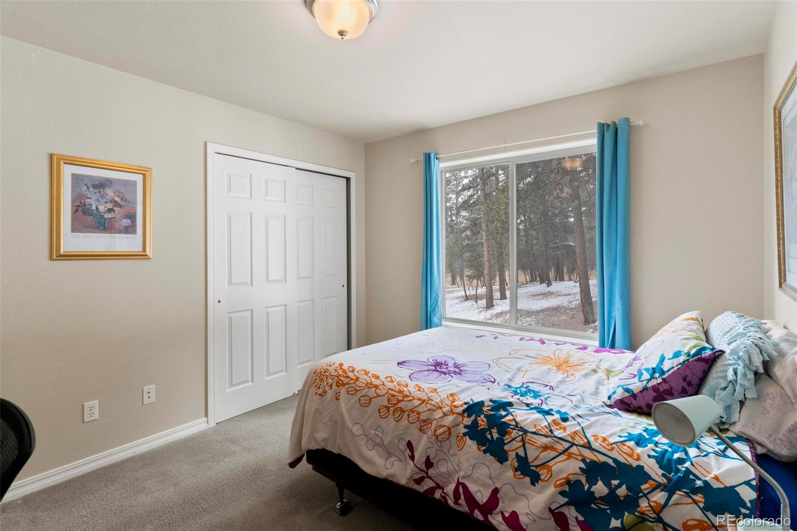 MLS Image #19 for 8385  woodcrest drive,colorado springs, Colorado