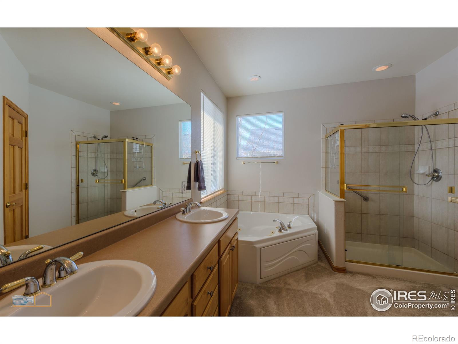 MLS Image #17 for 1825  ashford circle,longmont, Colorado