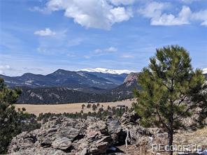 MLS Image #0 for 33579  mount wilson road,pine, Colorado