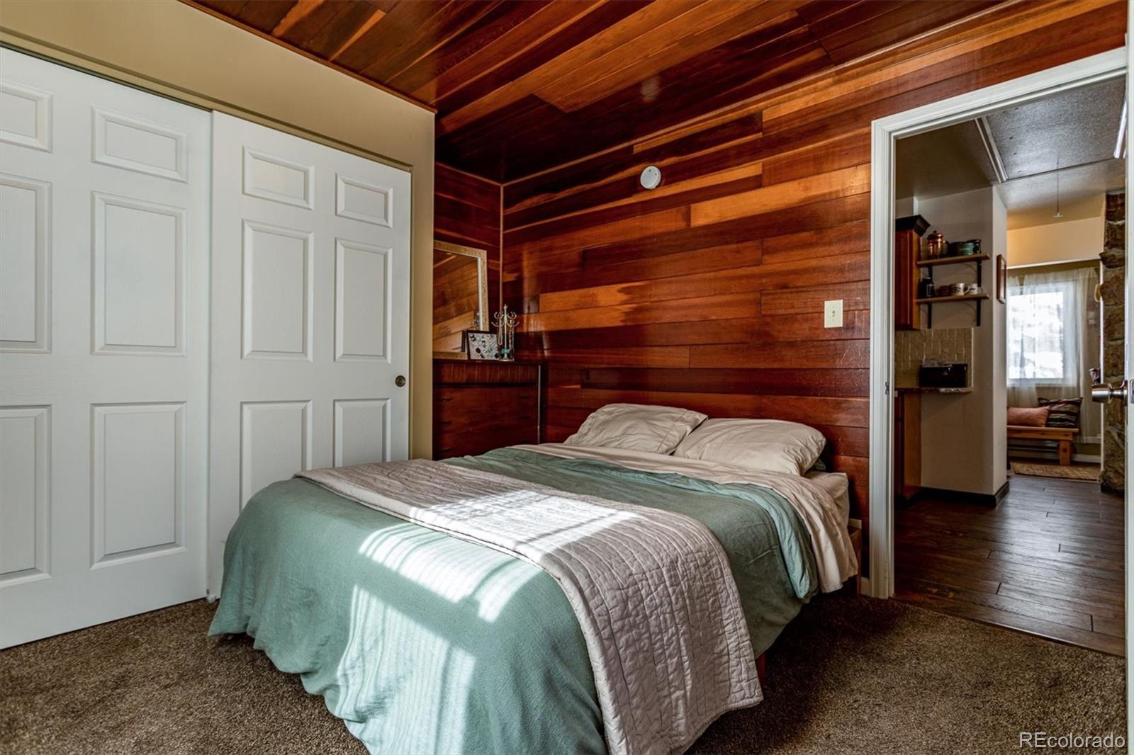 MLS Image #16 for 7559 s turkey creek road,morrison, Colorado