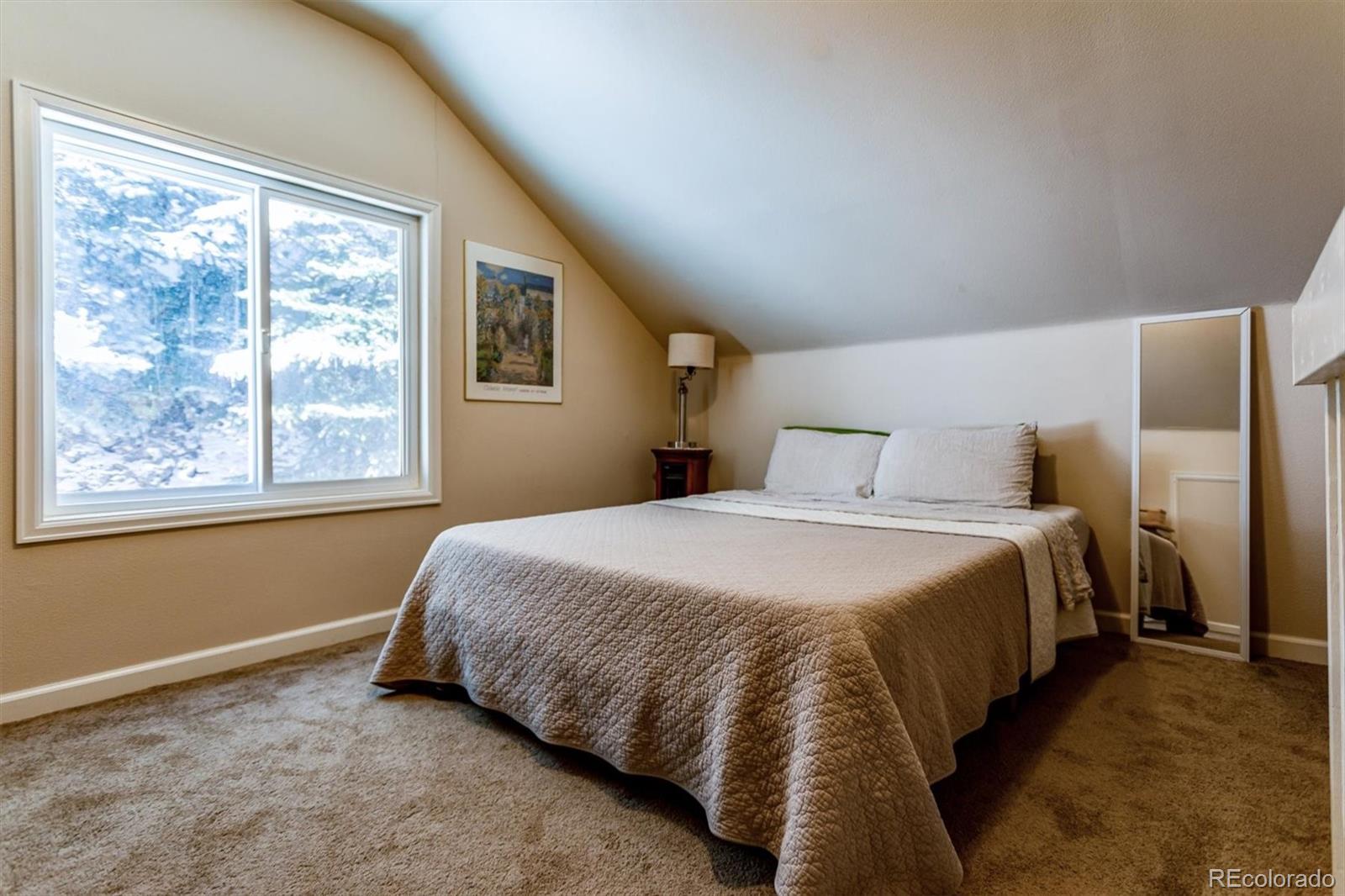 MLS Image #20 for 7559 s turkey creek road,morrison, Colorado
