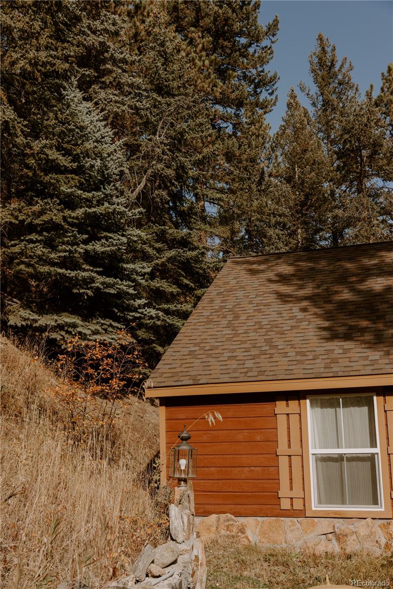MLS Image #37 for 7559 s turkey creek road,morrison, Colorado