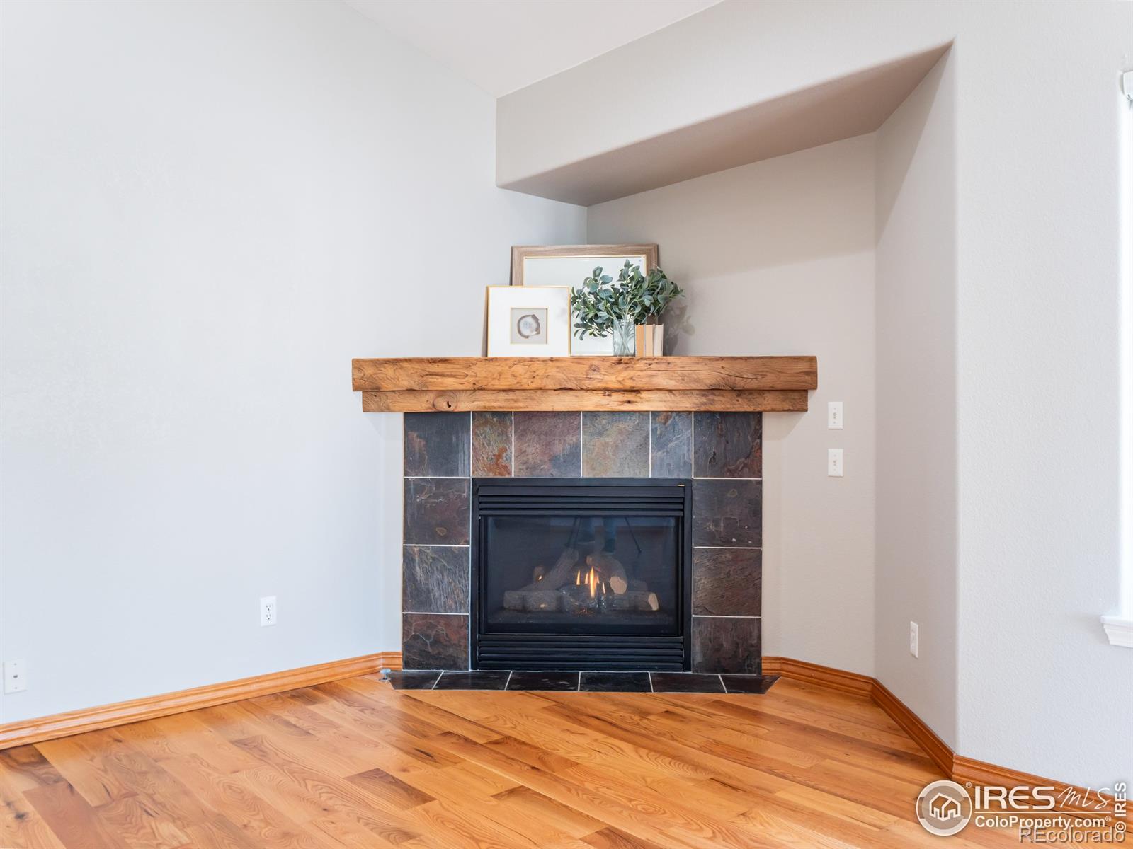 MLS Image #10 for 1670  stove prairie circle,loveland, Colorado