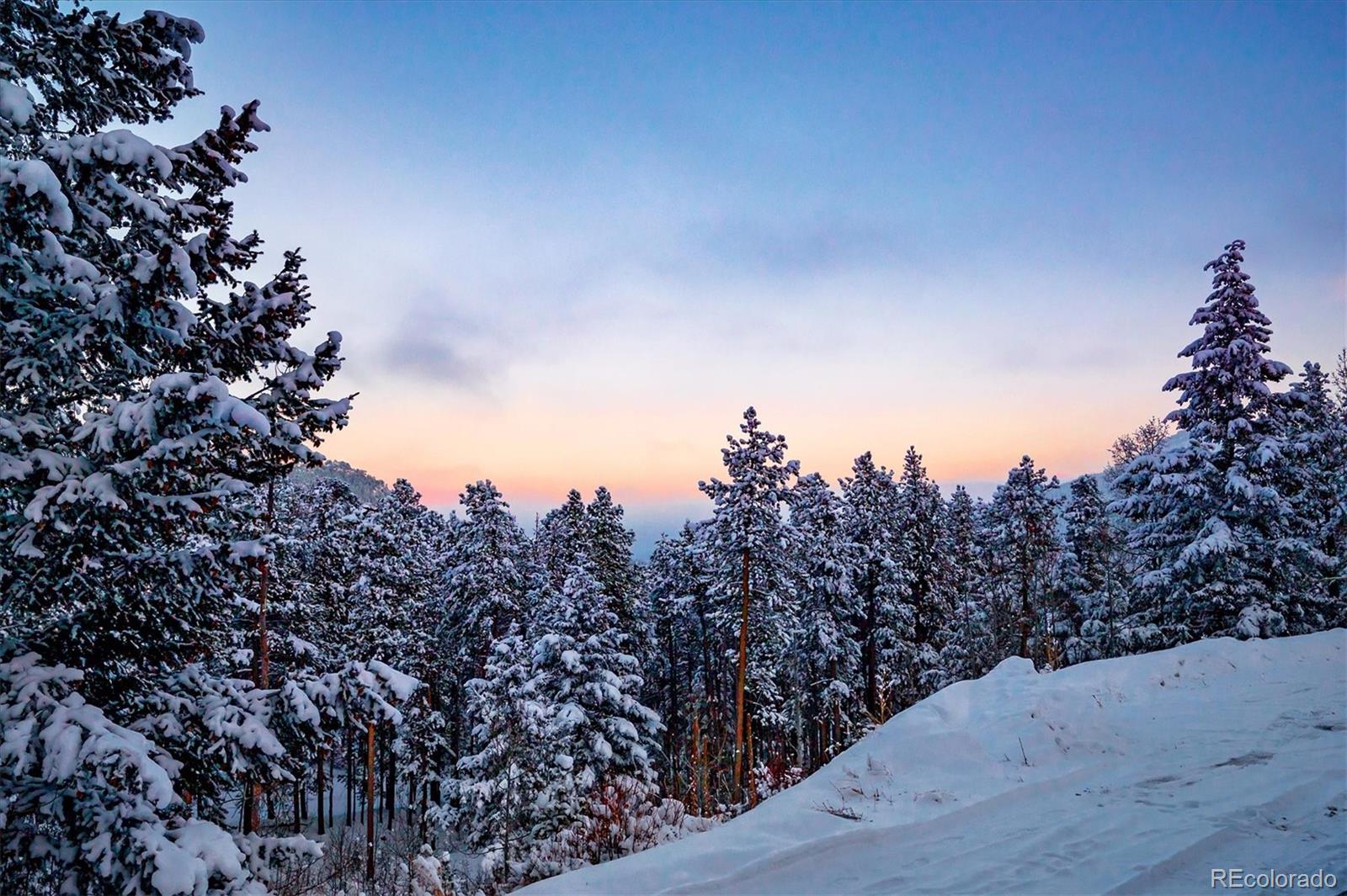 MLS Image #34 for 9055  eagle cliff road,conifer, Colorado