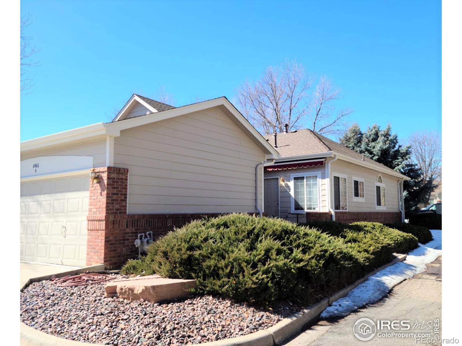 MLS Image #1 for 6466  simms street,arvada, Colorado