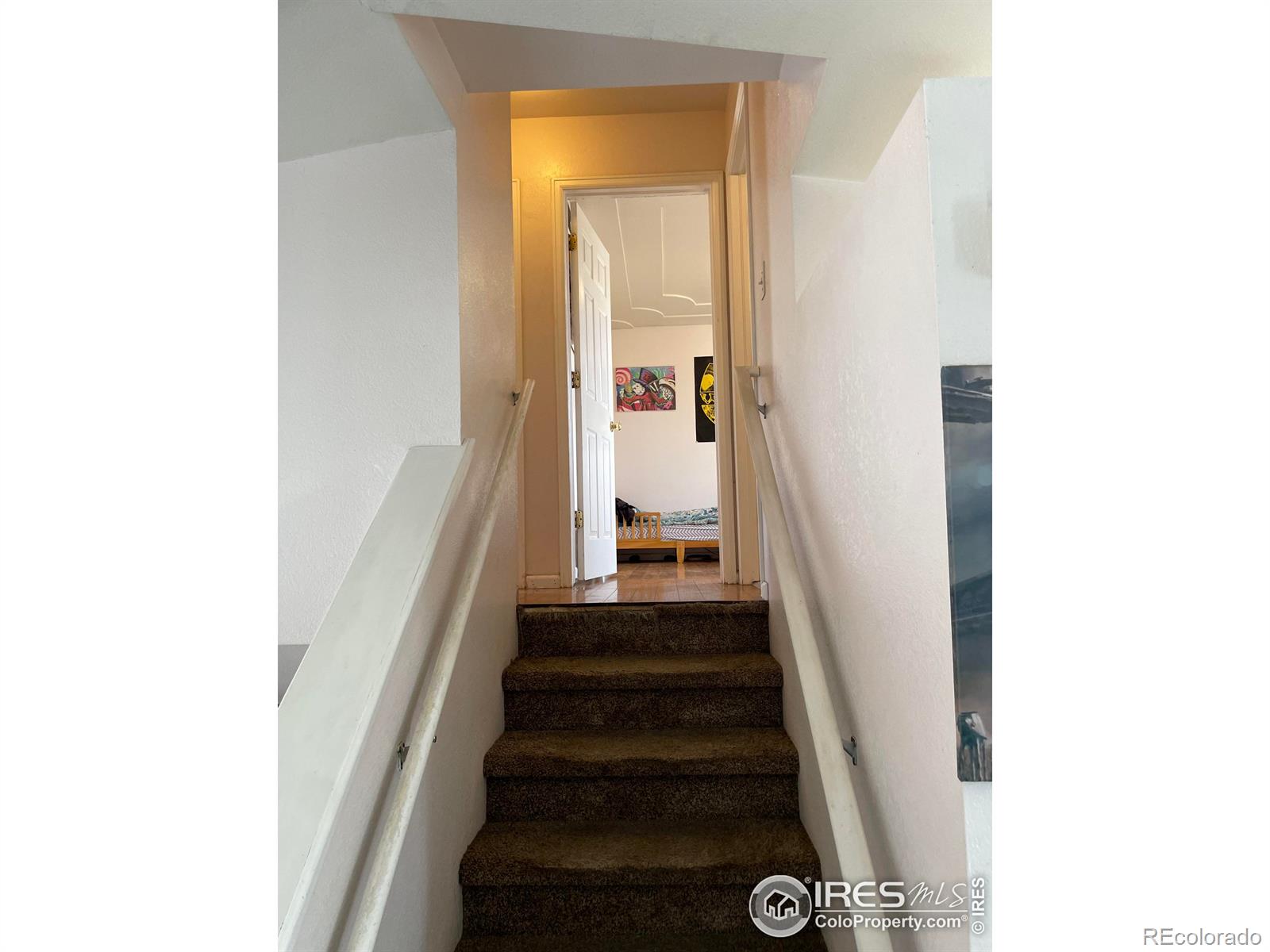 MLS Image #6 for 2102  apricot avenue,greeley, Colorado