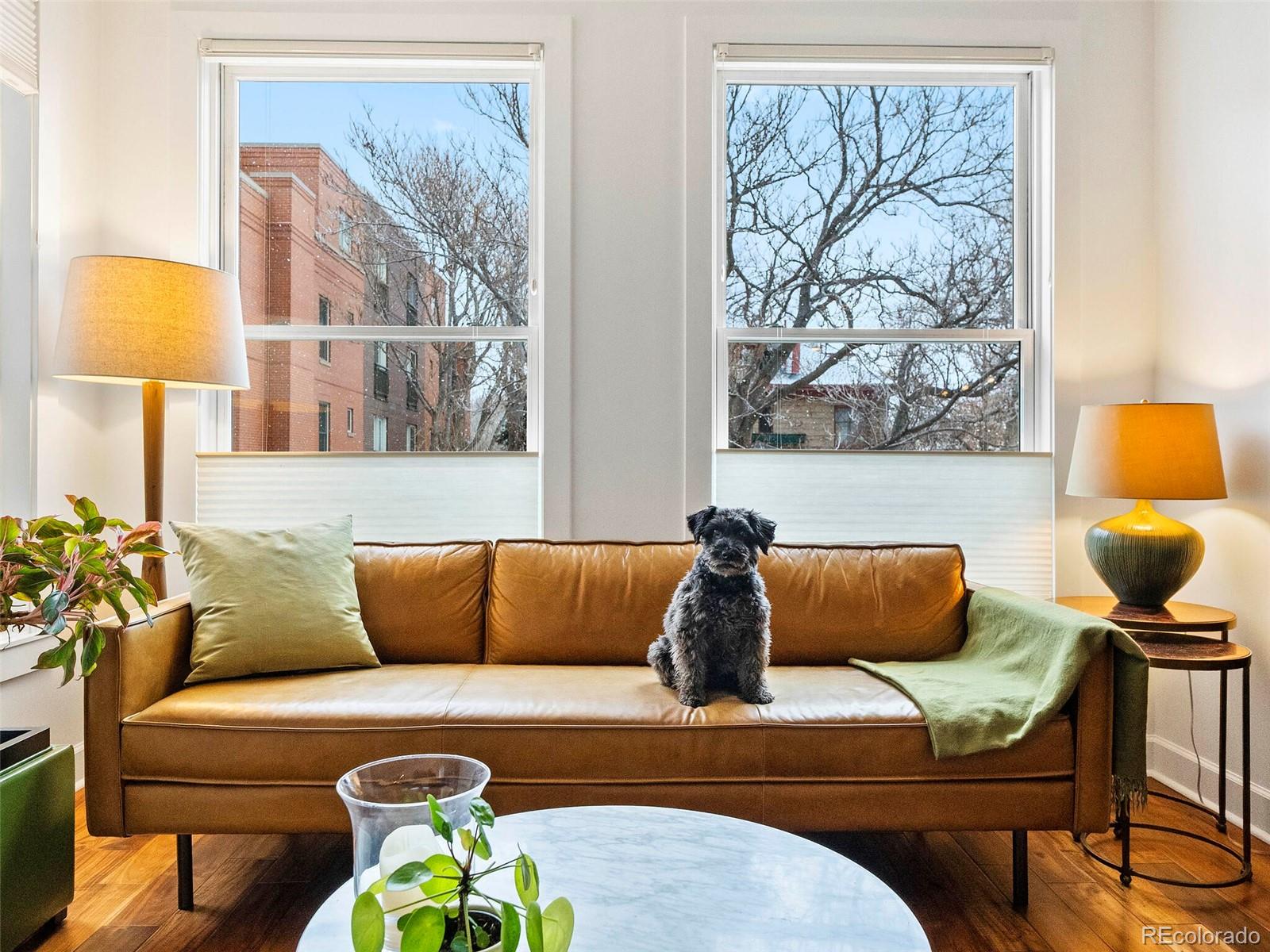 MLS Image #12 for 1630  clarkson street,denver, Colorado