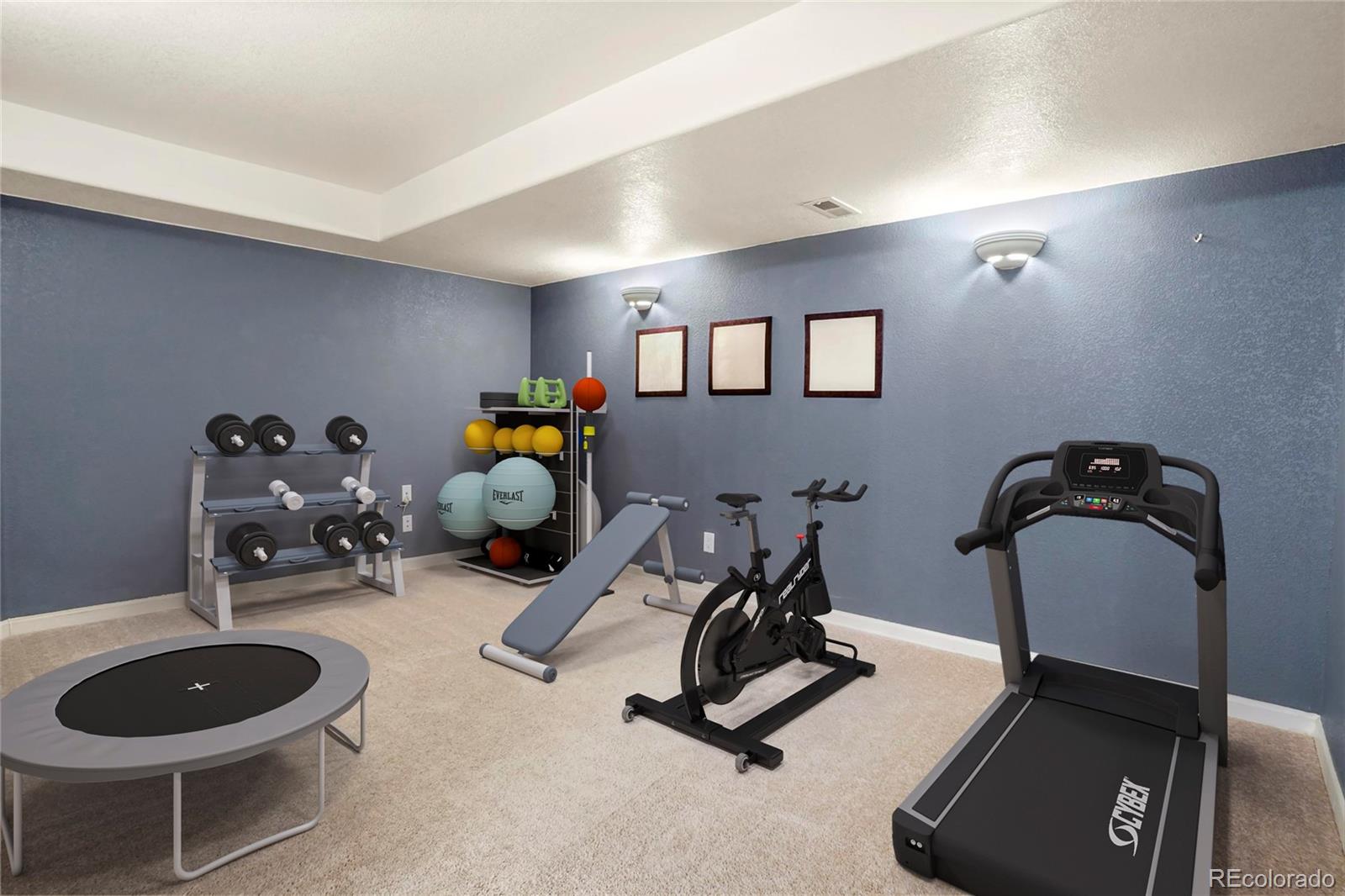 MLS Image #15 for 7912  flower street,arvada, Colorado
